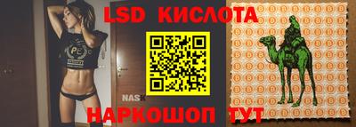 PSILOCYBIN Кандалакша
